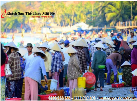 Ngư dân đang phân loại ốc