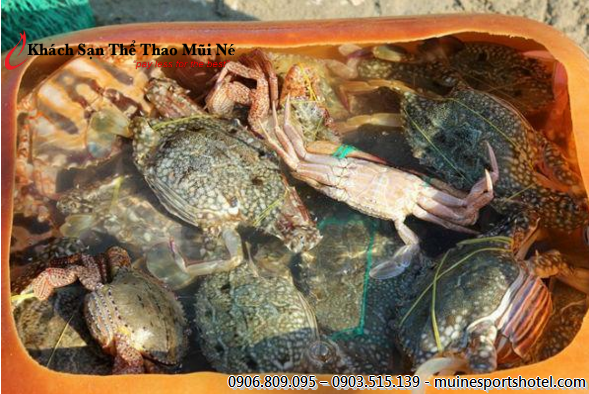 This crabs and snails basket take only 150,000 VND. Buy now!