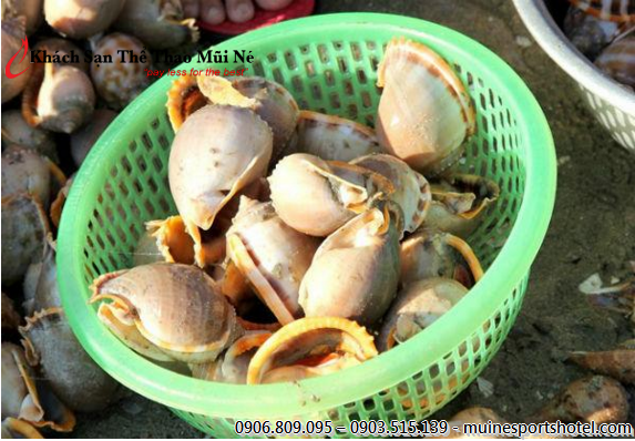 This crabs and snails basket take only 150,000 VND. Buy now!