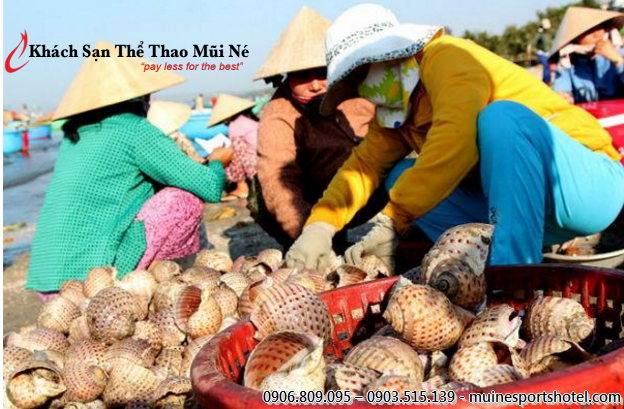 Fishermen are sorting snails